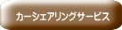 カーシェアリングサービス 